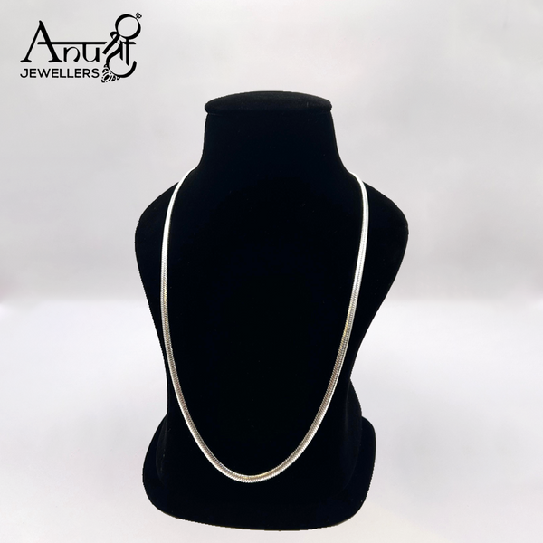 Silver Chain (25.620 grams)